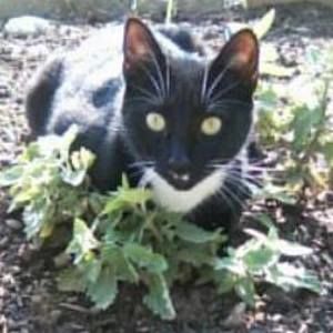 Meet your Posher, Jackie